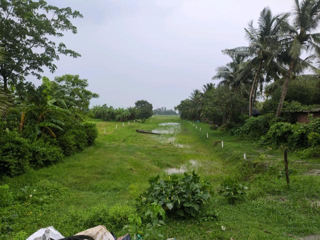 Residential Plot in Sonarpur for resale Kolkata. The reference number is 20432837