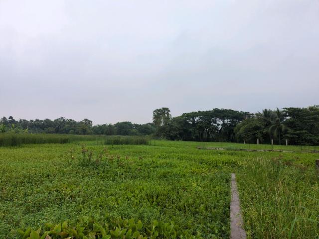Residential Plot in Narendrapur for resale Kolkata. The reference number is 20524579