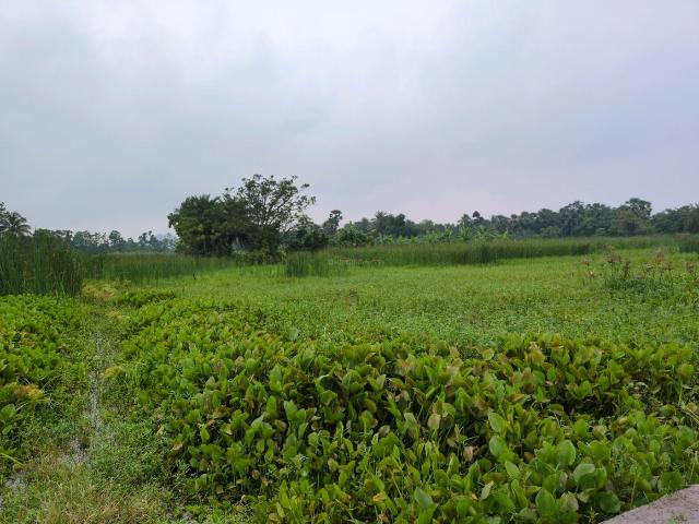 Residential Plot in Narendrapur for resale Kolkata. The reference number is 20524586
