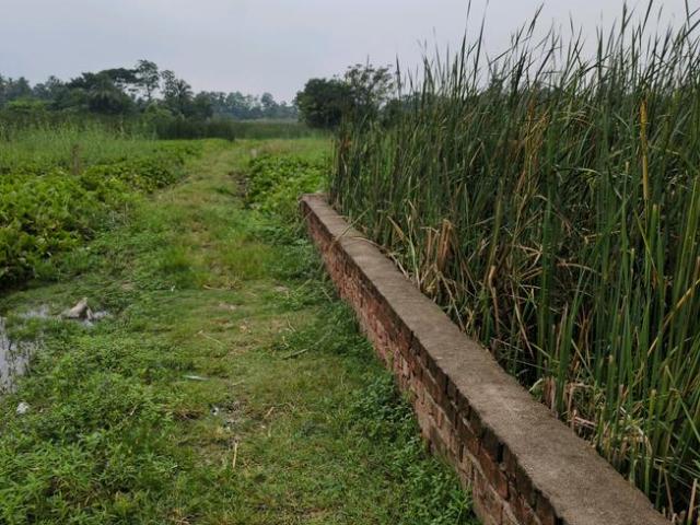 Residential Plot in Narendrapur for resale Kolkata. The reference number is 20524594