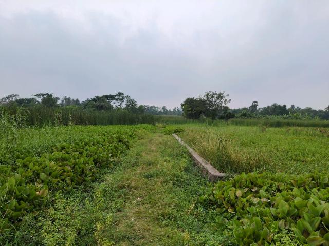 Residential Plot in Narendrapur for resale Kolkata. The reference number is 20524599