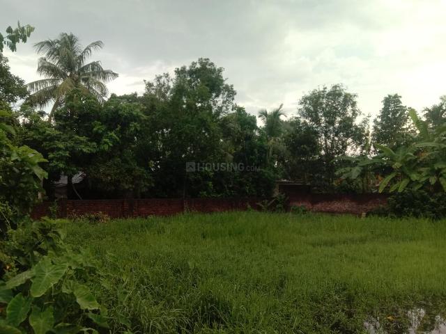 Residential Plot in Sonarpur for resale Kolkata. The reference number is 20684628