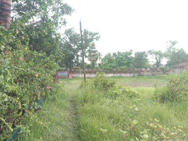Residential Plot in Sonarpur for resale Kolkata. The reference number is 20685080