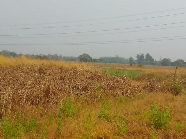 Residential Plot in Sonkhar for resale Navi Mumbai. The reference number is 20568115