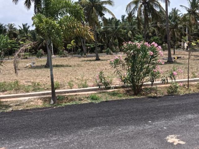 Residential Plot in Sontyam for resale Visakhapatnam. The reference number is 20862602