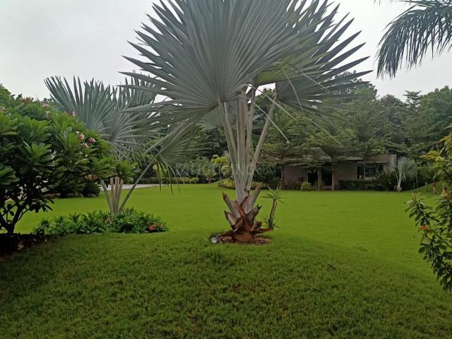 Residential Plot in South Bopal for resale Ahmedabad. The reference number is 16085939