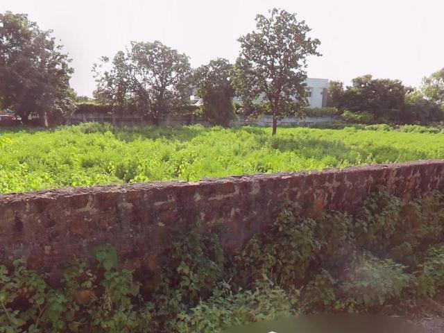 Residential Plot in South Bopal for resale Ahmedabad. The reference number is 19741408