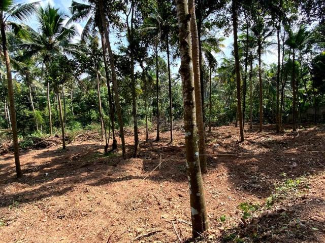 Residential Plot in Sreekariyam for resale Thiruvananthapuram. The reference number is 16142023