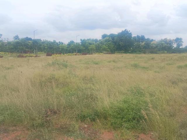 Residential Plot in Tukkuguda for resale Hyderabad. The reference number is 20273310