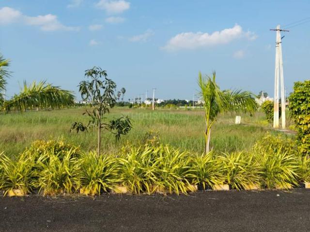 Residential Plot in Tadikonda for resale Guntur. The reference number is 20448105