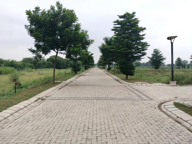 Residential Plot in Tajupur for resale Faridabad. The reference number is 19682803