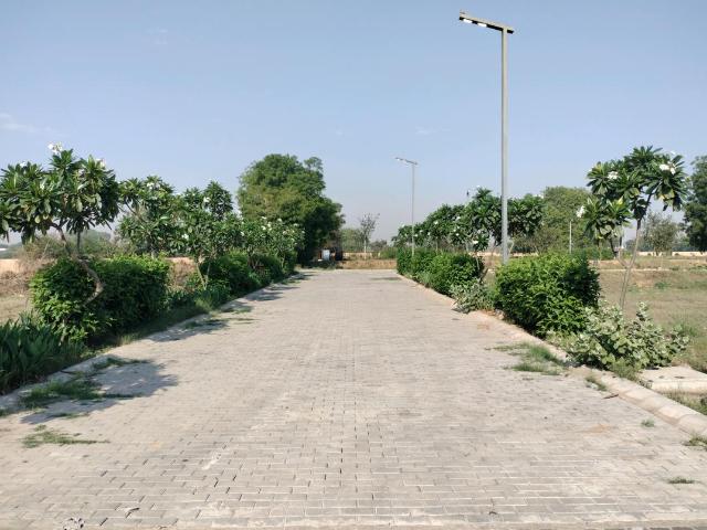 Residential Plot in Tajupur for resale Faridabad. The reference number is 19887099