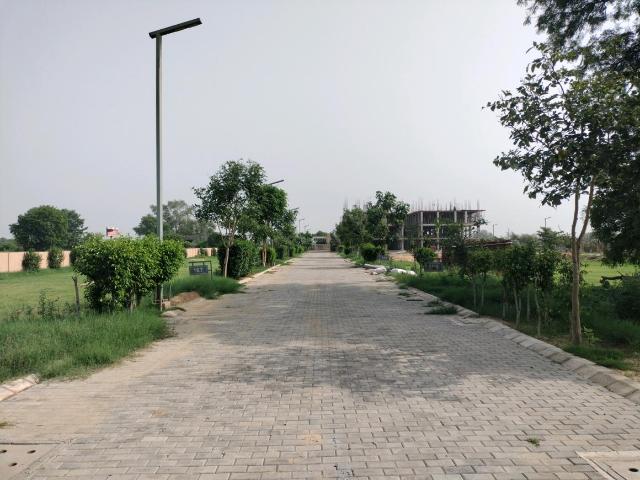 Residential Plot in Tajupur for resale Faridabad. The reference number is 20621312
