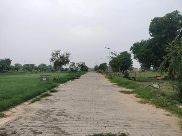 Residential Plot in Tajupur for resale Faridabad. The reference number is 20716446