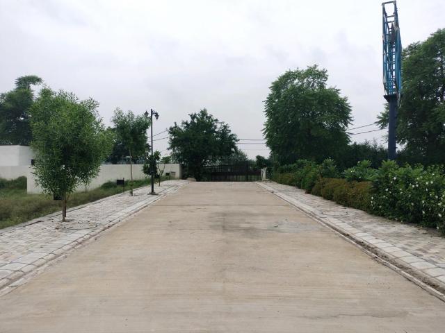 Residential Plot in Tajupur for resale Faridabad. The reference number is 20215819