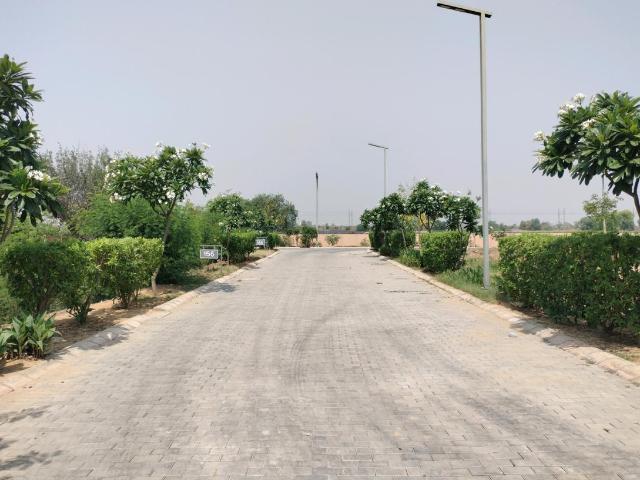 Residential Plot in Tajupur for resale Faridabad. The reference number is 20240978