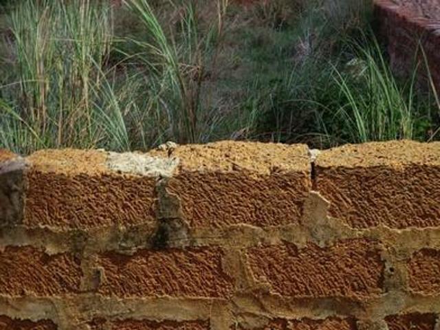 Residential Plot in Tamando for resale Bhubaneswar. The reference number is 20444450