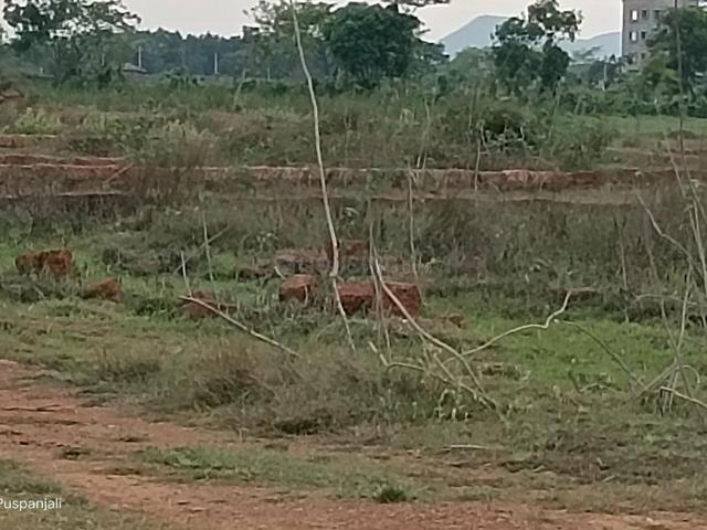 Residential Plot in Tamando for resale Bhubaneswar. The reference number is 20488540