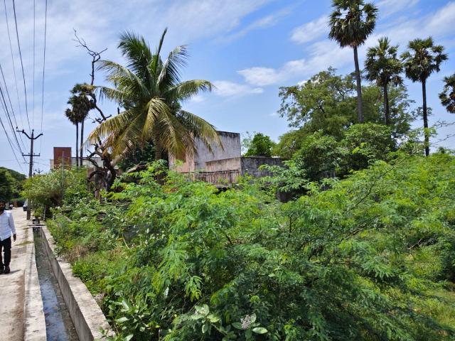 Residential Plot in Tambaram for resale Chennai. The reference number is 20852679