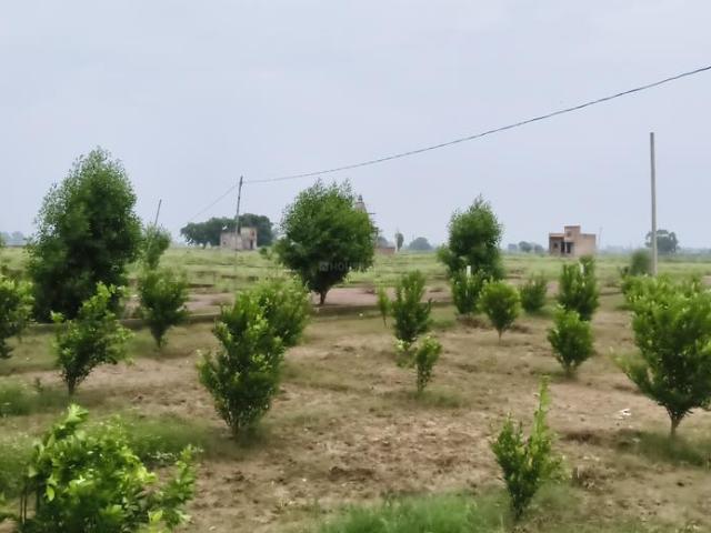 Residential Plot in Tappal for resale Aligarh. The reference number is 20288115