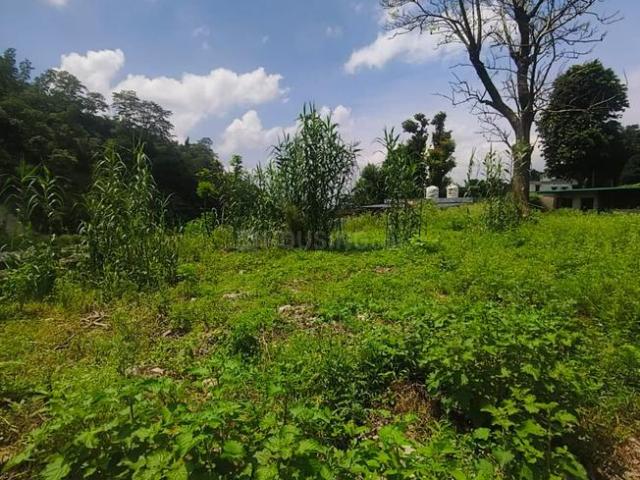 Residential Plot in Thano for resale Dehradun. The reference number is 21187315