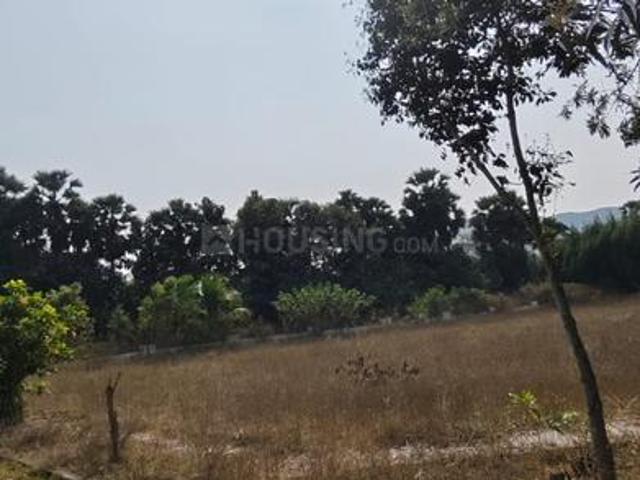 Residential Plot in Thagarapuvalasa for resale Visakhapatnam. The reference number is 19485990
