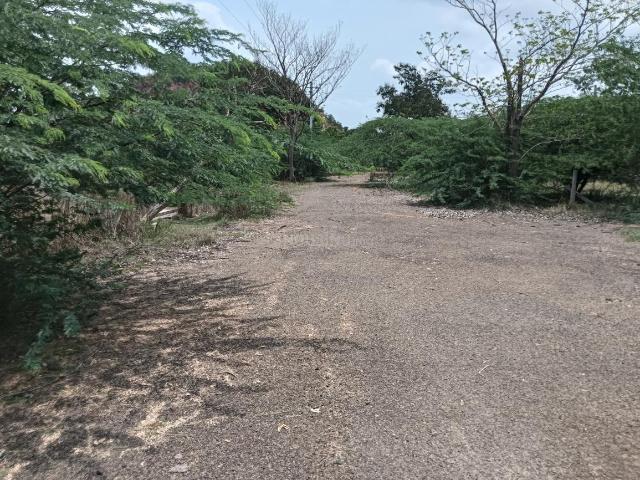 Residential Plot in Thagarapuvalasa for resale Visakhapatnam. The reference number is 20876136