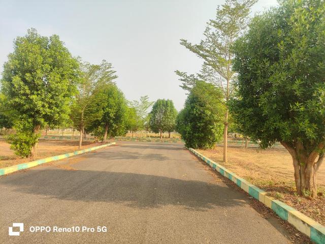 Residential Plot in Thagarapuvalasa for resale Visakhapatnam. The reference number is 20154099