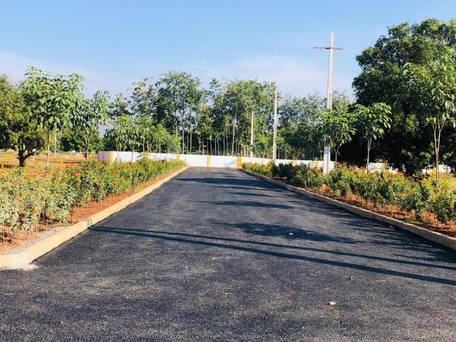 Residential Plot in Thagarapuvalasa for resale Visakhapatnam. The reference number is 20291165