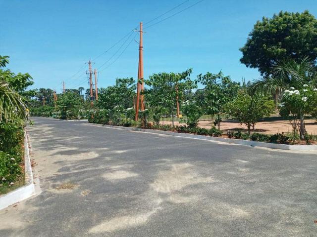 Residential Plot in Thagarapuvalasa for resale Visakhapatnam. The reference number is 21027359