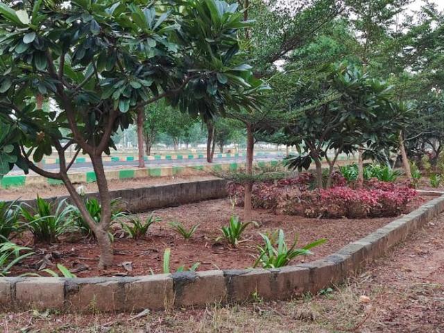 Residential Plot in Thagarapuvalasa for resale Visakhapatnam. The reference number is 21060165