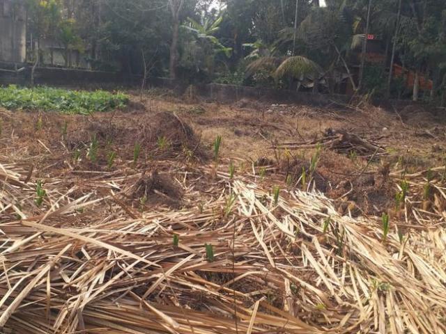 Residential Plot in Thakurpukur for resale Kolkata. The reference number is 8396809