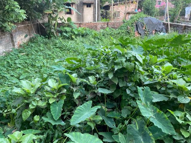 Residential Plot in Thakurpukur for resale Kolkata. The reference number is 15792189