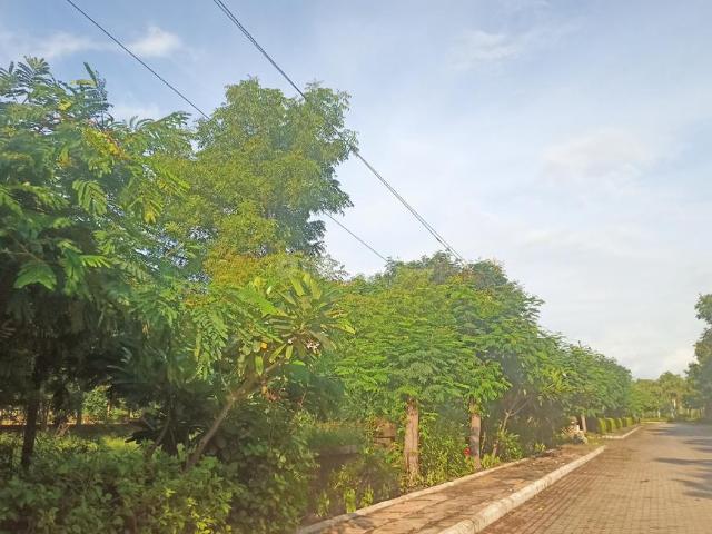 Residential Plot in Thaltej for resale Ahmedabad. The reference number is 16087099
