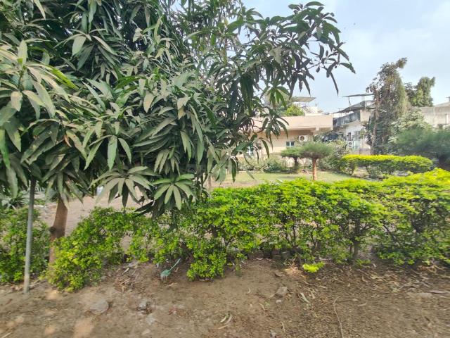 Residential Plot in Thaltej for resale Ahmedabad. The reference number is 20795417