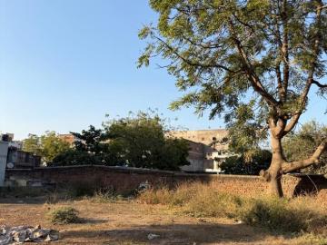 Thaltej Town, Gandhinagar District, Gujarat