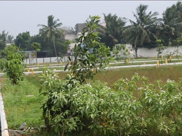 Residential Plot in Thatchoor for resale Chennai. The reference number is 20017006