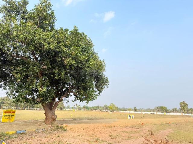 Residential Plot in Thellar for resale Tiruvannamalai. The reference number is 21106393