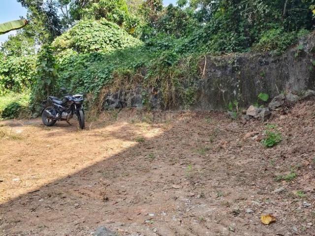 Residential Plot in Thevakkal for resale Kochi. The reference number is 19316959