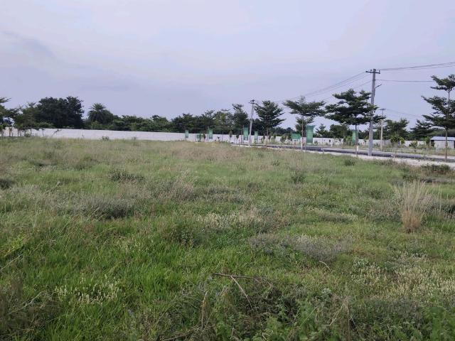Residential Plot in Thirumazhisai for resale Chennai. The reference number is 19850924