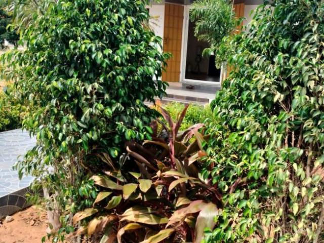 Residential Plot in Thiruthani for resale Chennai. The reference number is 20627312
