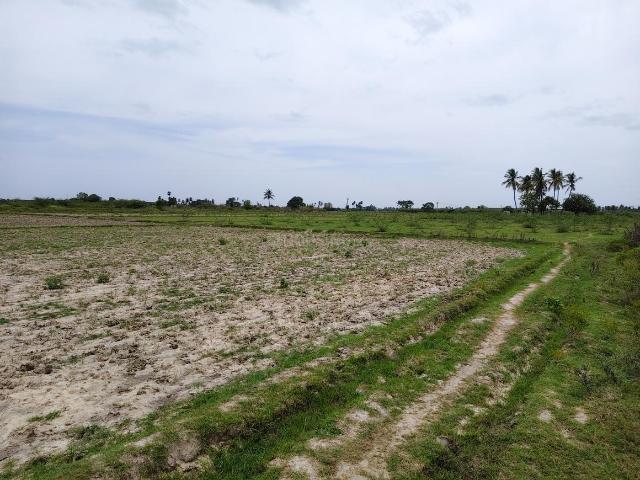 Residential Plot in Thiruvallur for resale Chennai. The reference number is 20923220