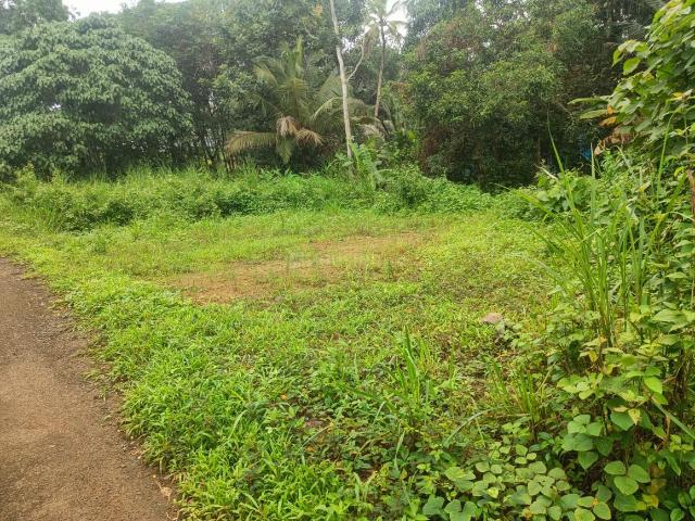 Residential Plot in Thiruvaniyoor for resale Kochi. The reference number is 18346281