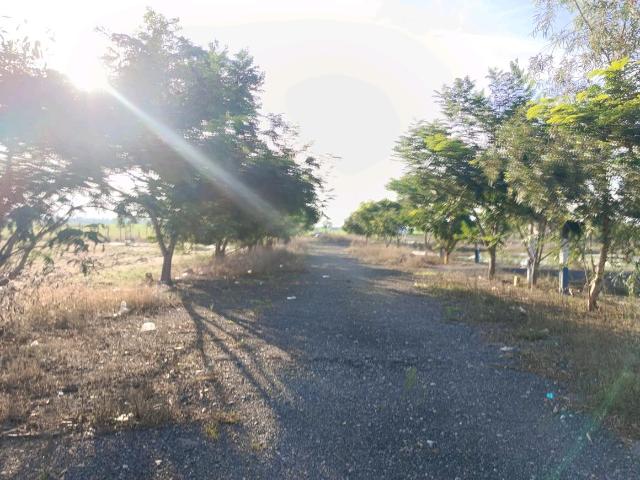 Residential Plot in Thiruvellavoyal for resale Chennai. The reference number is 14550755