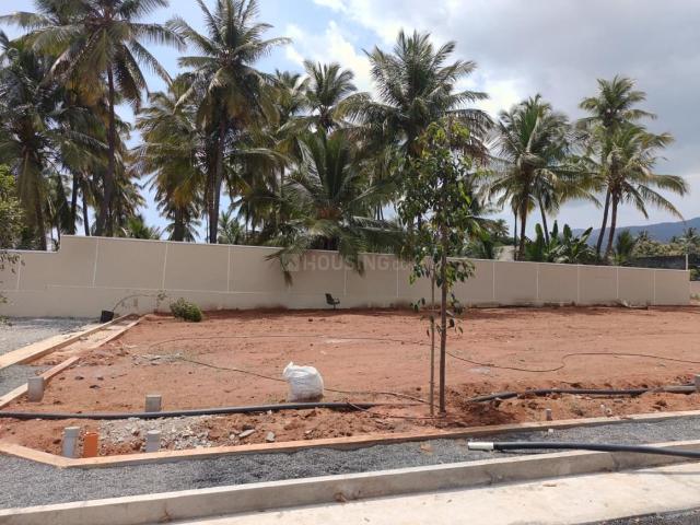 Residential Plot in Thondamuthur for resale Coimbatore. The reference number is 21303264