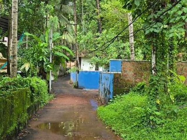 Residential Plot in Thondayad for resale Kozhikode. The reference number is 20450412