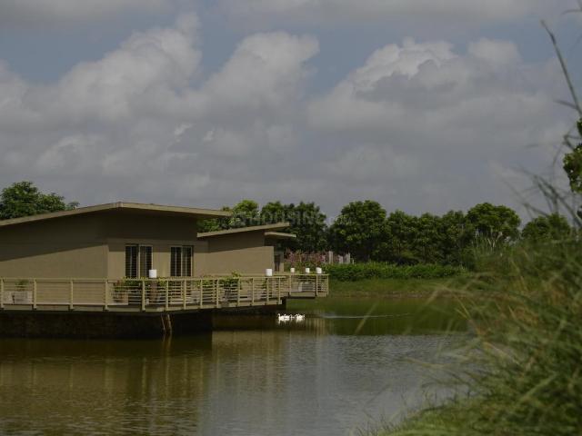 Residential Plot in Thol for resale Ahmedabad. The reference number is 19853869