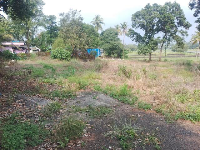 Residential Plot in Thrikkakara North for resale Kochi. The reference number is 16468149