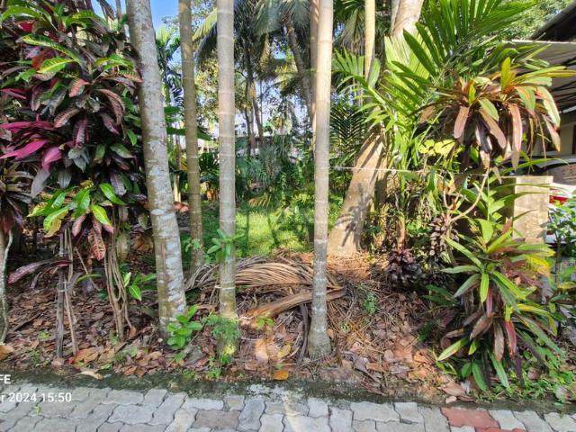 Residential Plot in Thrippunithura for resale Kochi. The reference number is 16044774