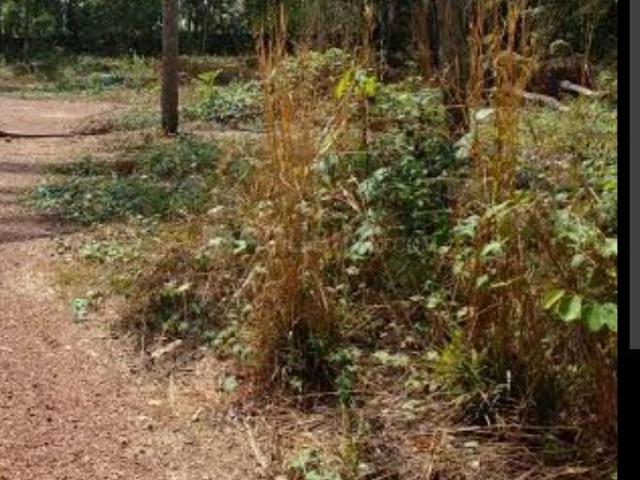 Residential Plot in Thrippunithura for resale Kochi. The reference number is 17747298